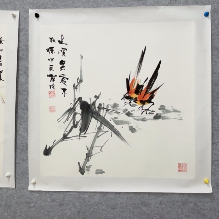国画花鸟等多种鸟类的栖息地和栖息地等