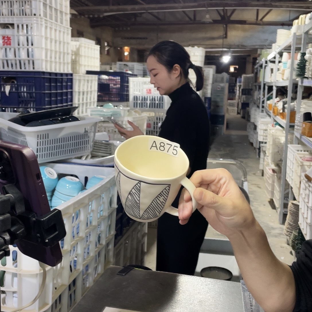 瓷片875           2个