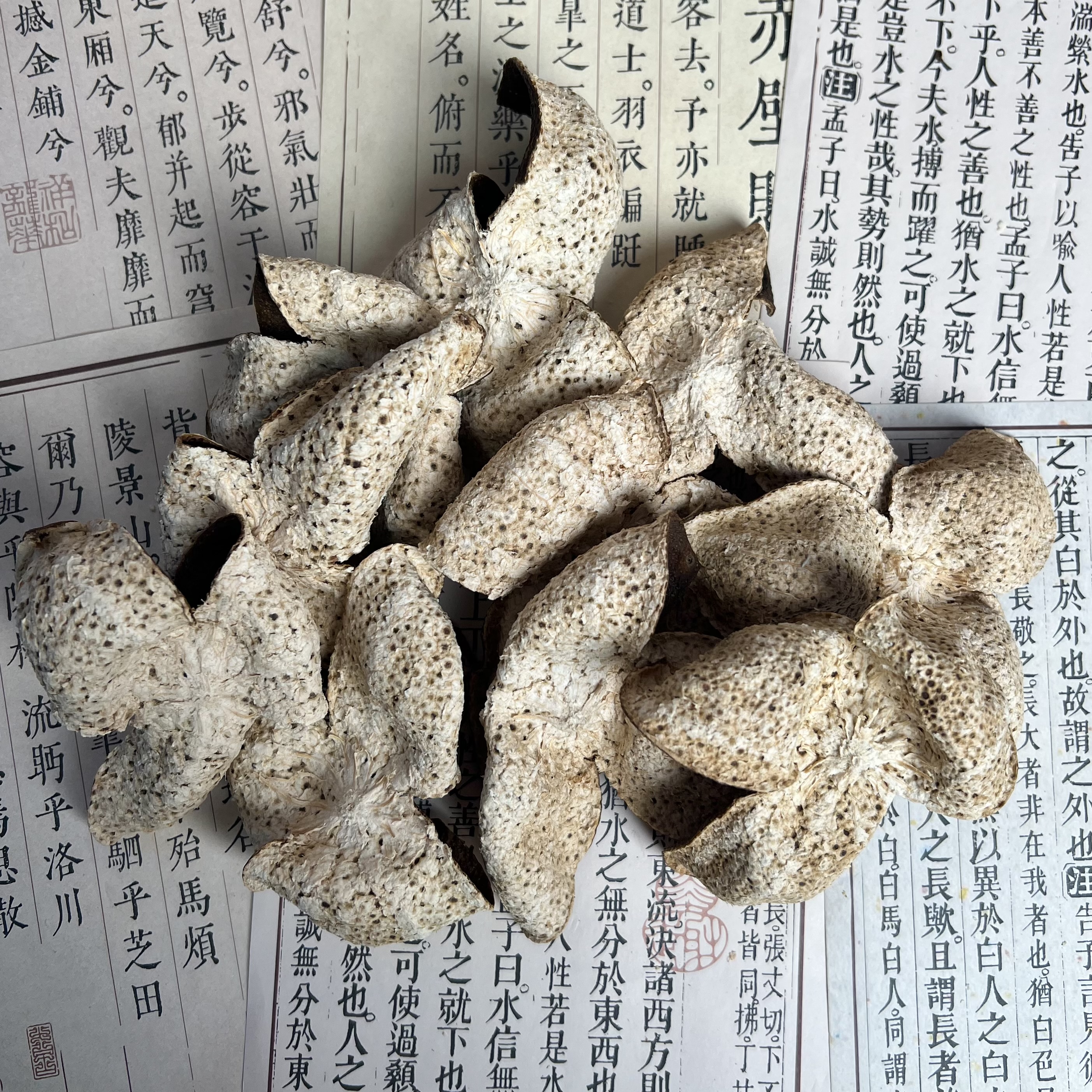 【陈香药香】2020东甲积壳满天星冬后皮【油室饱满】正宗新会陈皮礼盒