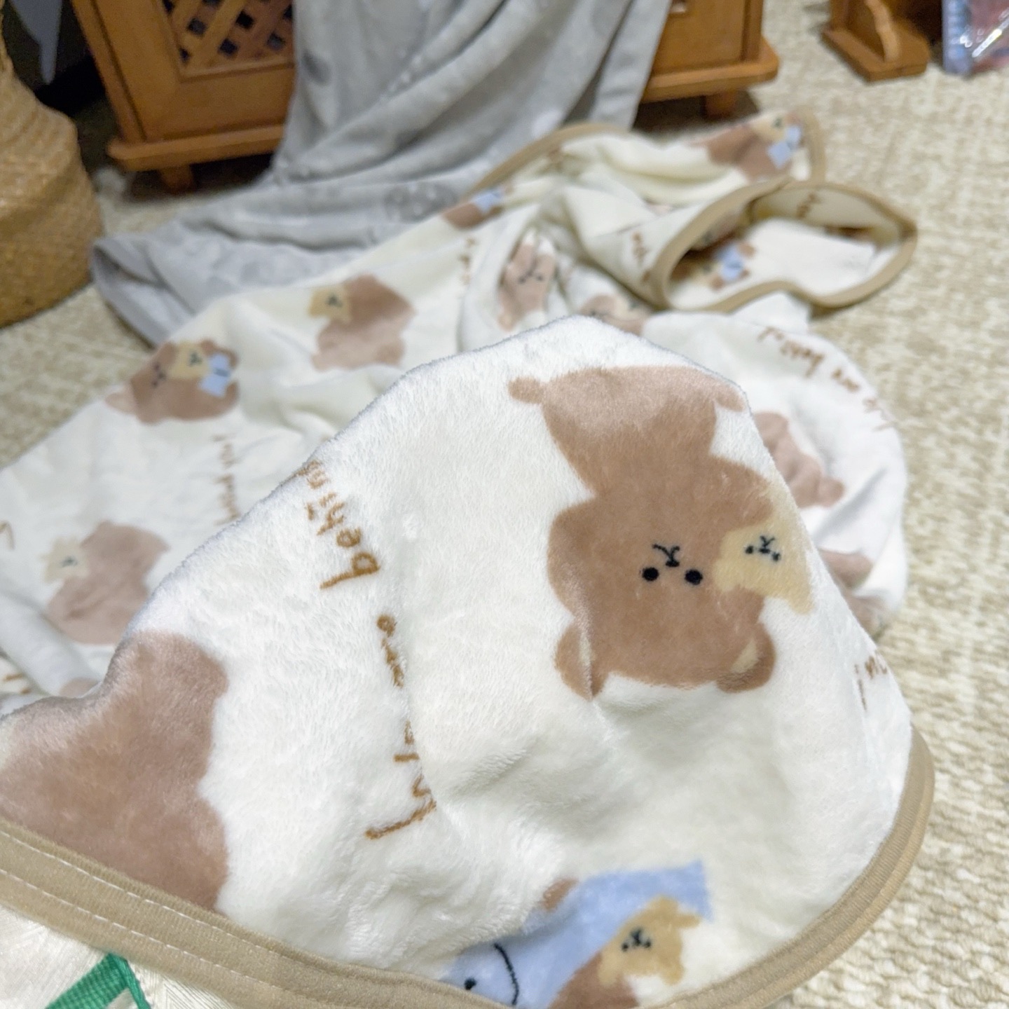 日韩原单宠物大毛毯双面绒质感加厚毛毯保暖冬季睡觉宠物被子可爱