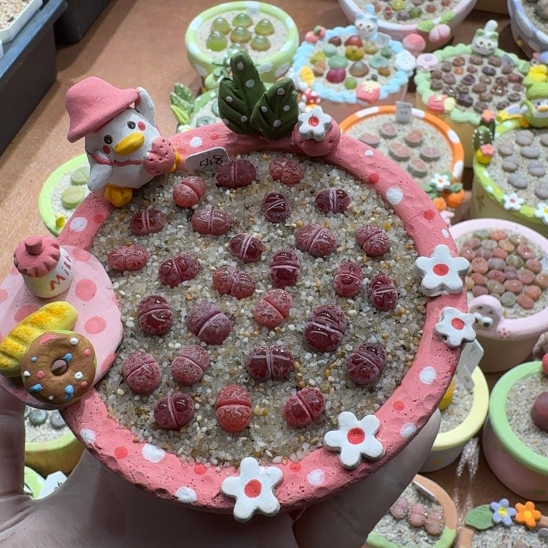 不***～1213-025盆盆盆盆盆q