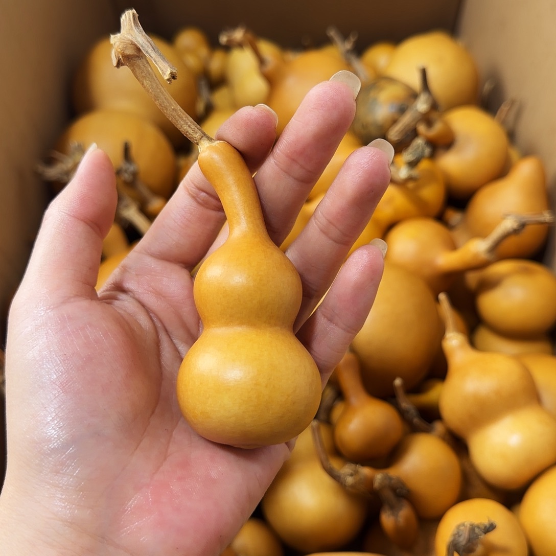 纯天然的真葫芦27