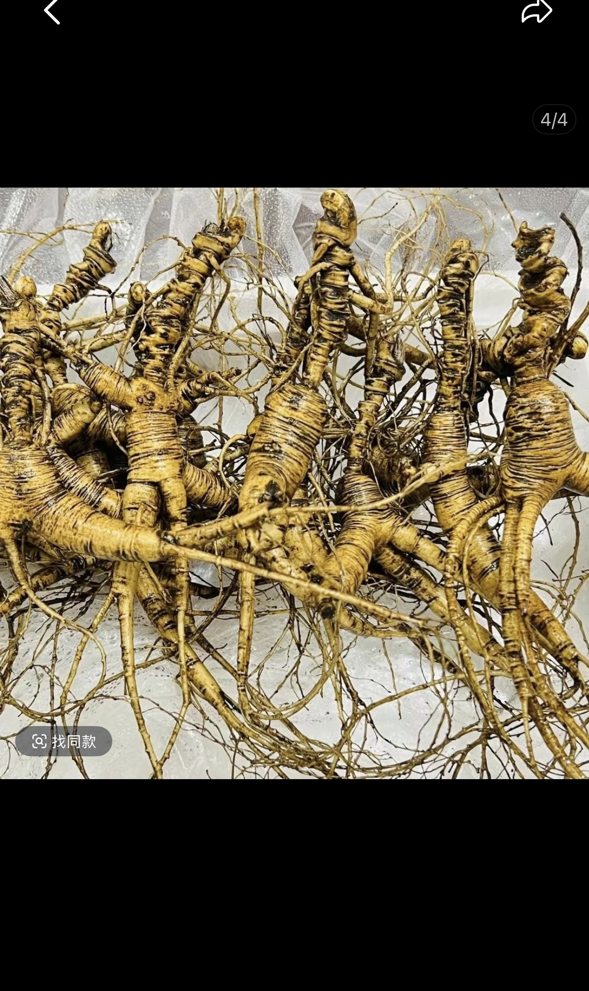 长白山林下参籽货老货，一参一拍。