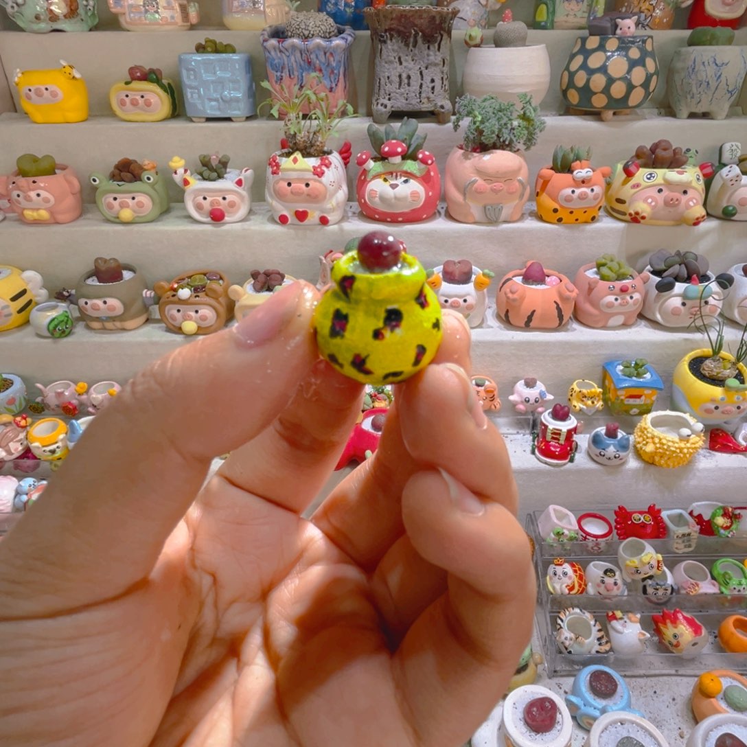 009史蒂芬紫葡萄带盆土一套23