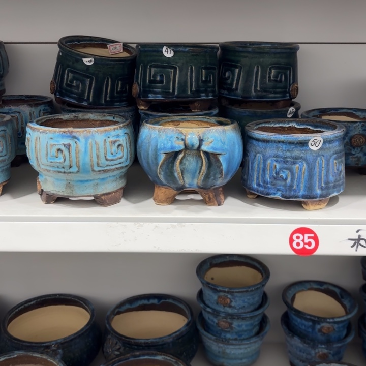 霞***花内口9高8.5左右，1个微瑕