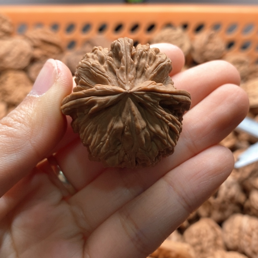 静***朗核桃定制商品不退不换