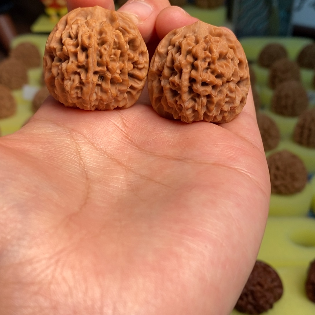 核桃秦岭闷尖狮子头33瑕疵