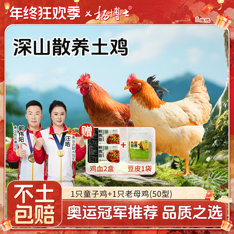 【母子组合】杨博士土鸡散养老母鸡+童子鸡煲汤清蒸 包冰率不含冰