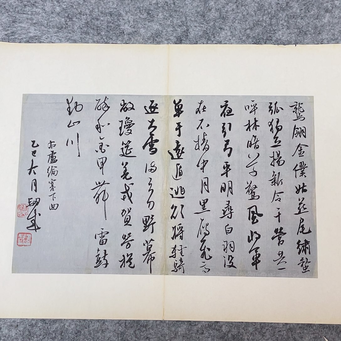 书法国展书家徐卫科45×34