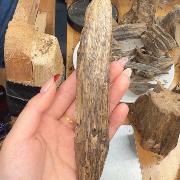 沉香沉香碎屑沉香奇楠块料22.7克