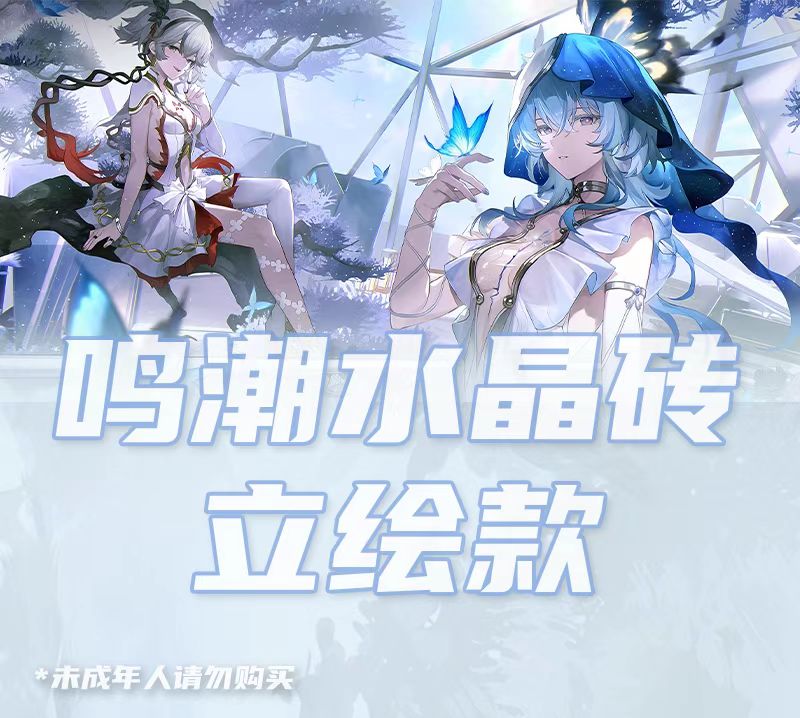 插队！！【鸣潮】第一弹-雪圆文创 周边亚克力高清透水晶砖