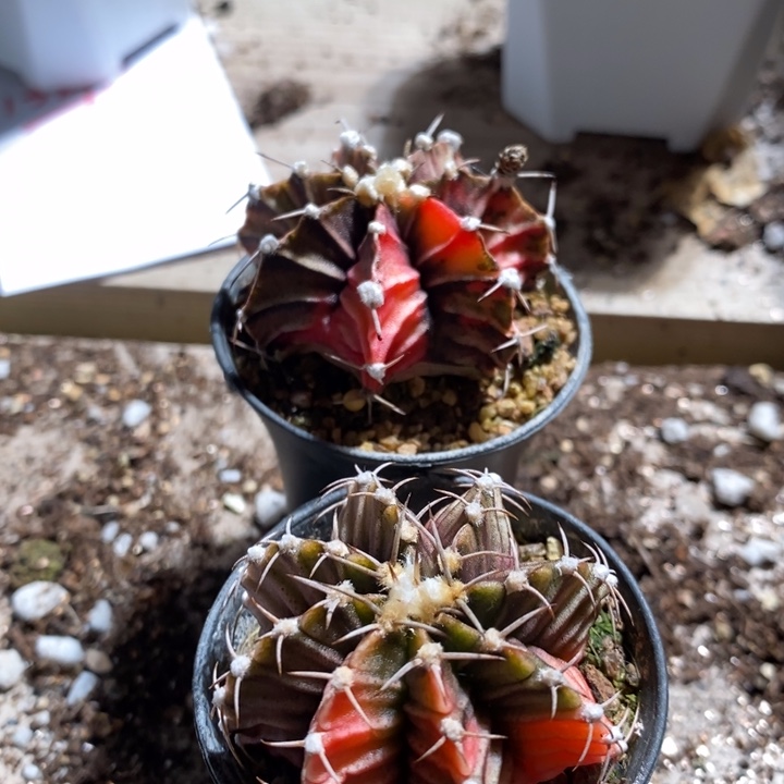 13280一组一组一组