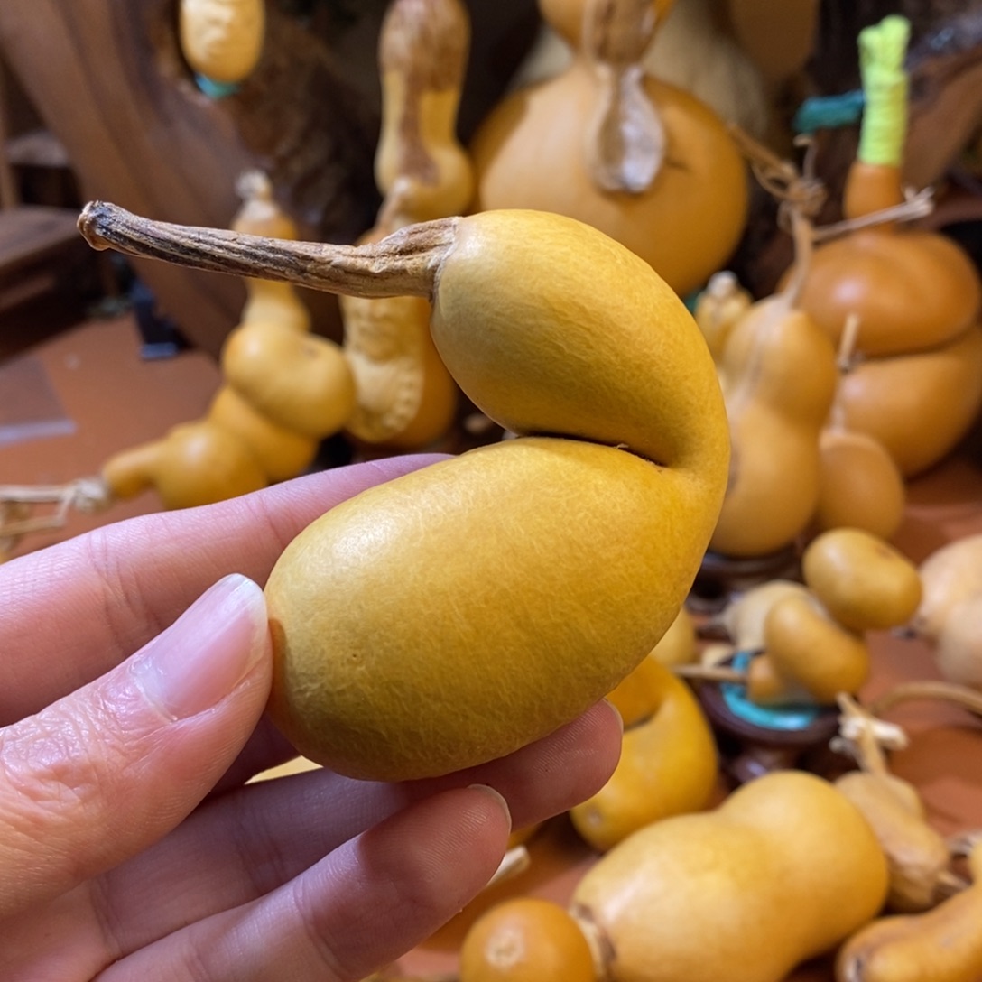 佛***人教练教练教练教练经理