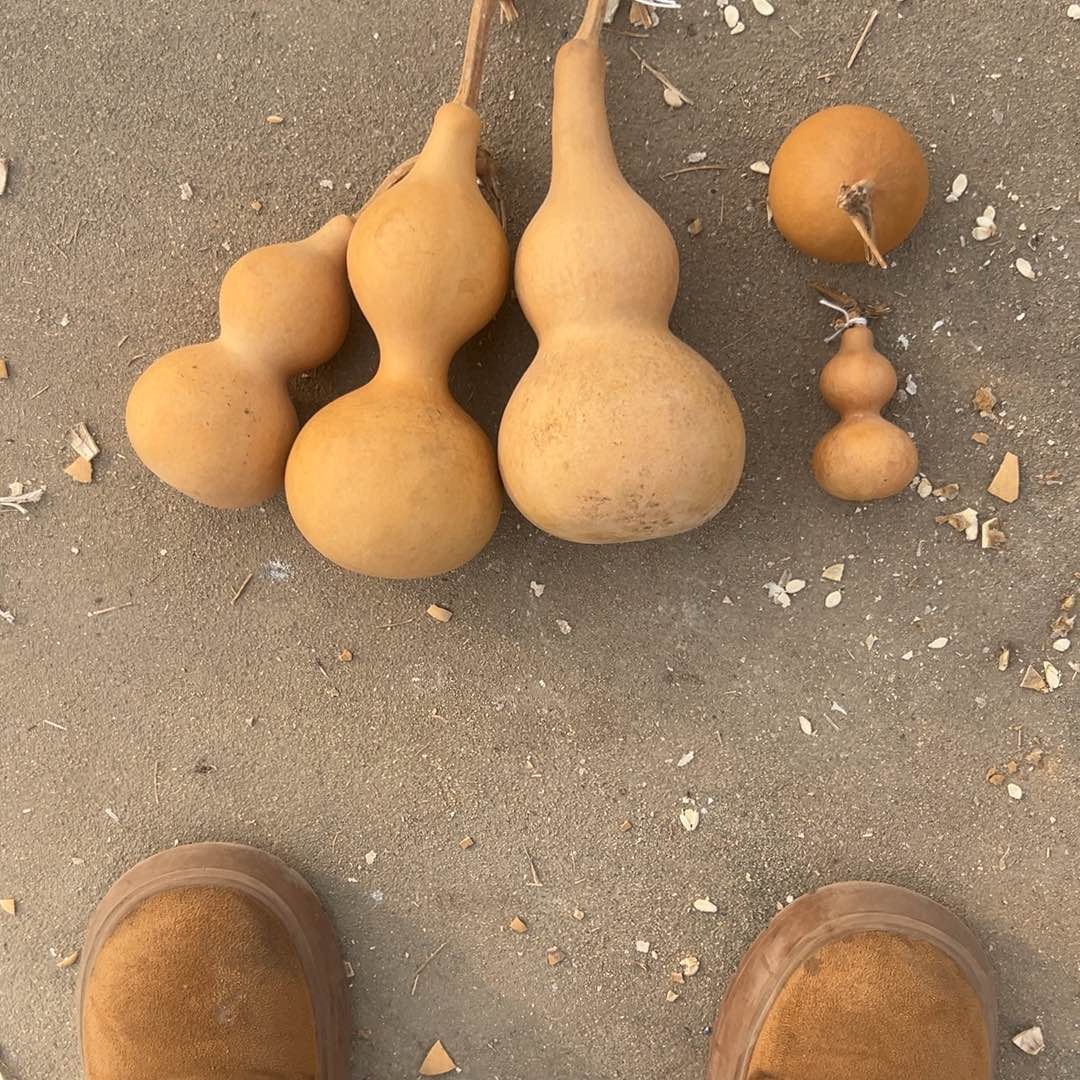 葫芦明轩葫芦哈哈哈