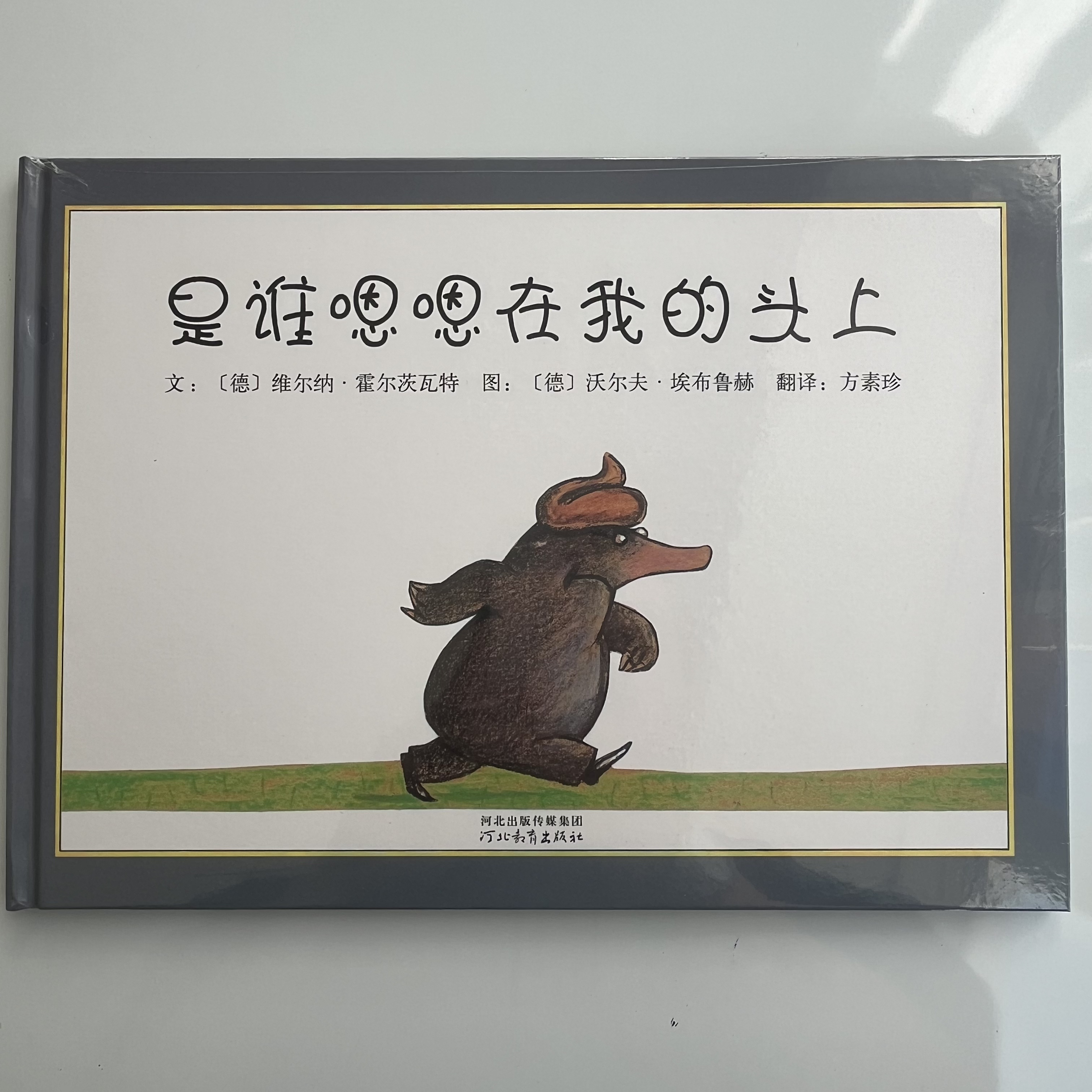 《是谁嗯嗯在我的头上》精装绘本适合0 - 6岁逻辑推理观察启蒙