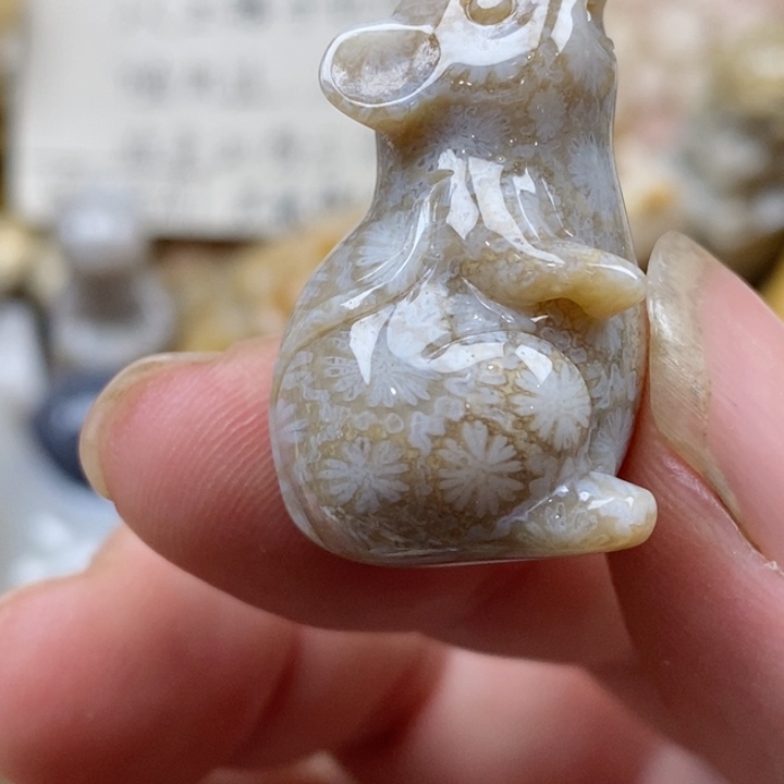 颈饰未镶嵌硅化珊瑚（珊瑚玉）