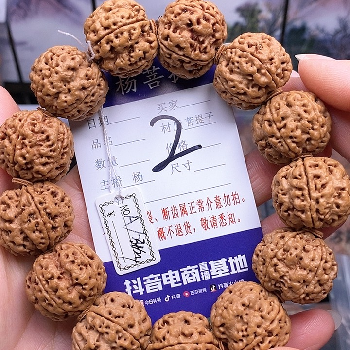 手串金刚菩提23.5/24双龙