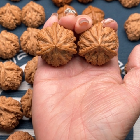 橄榄核手串/手链文山三棱36