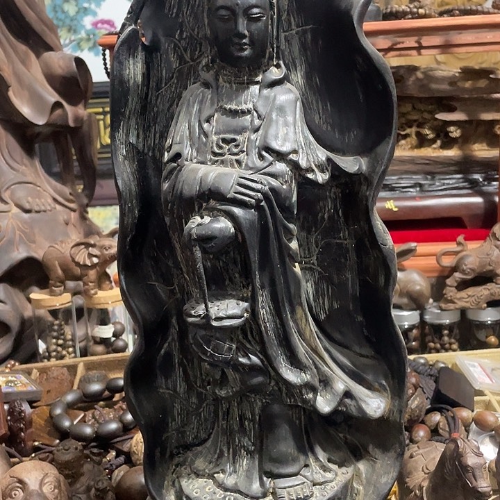 木欢迎大家加入我们家