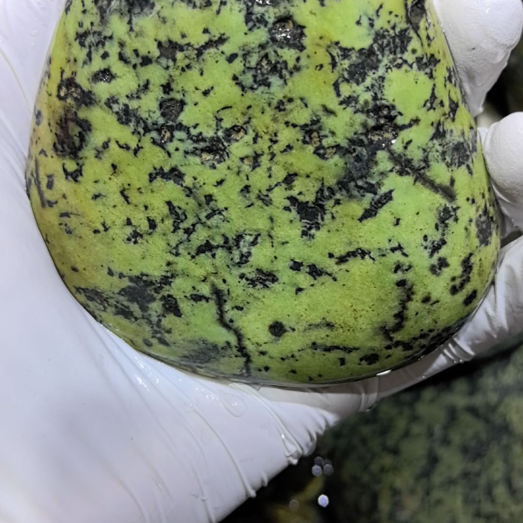 长***峡藏玉药王石原石一个