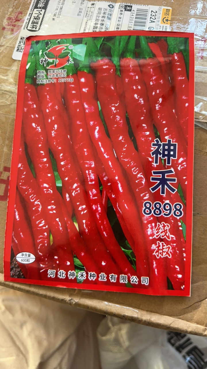 8898线椒种子干鲜两用