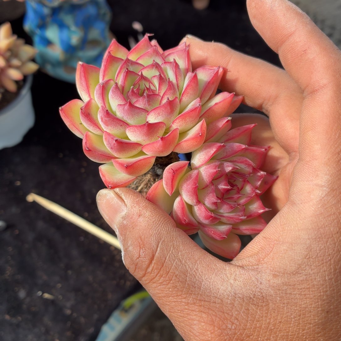 你说是谁就让我们来找