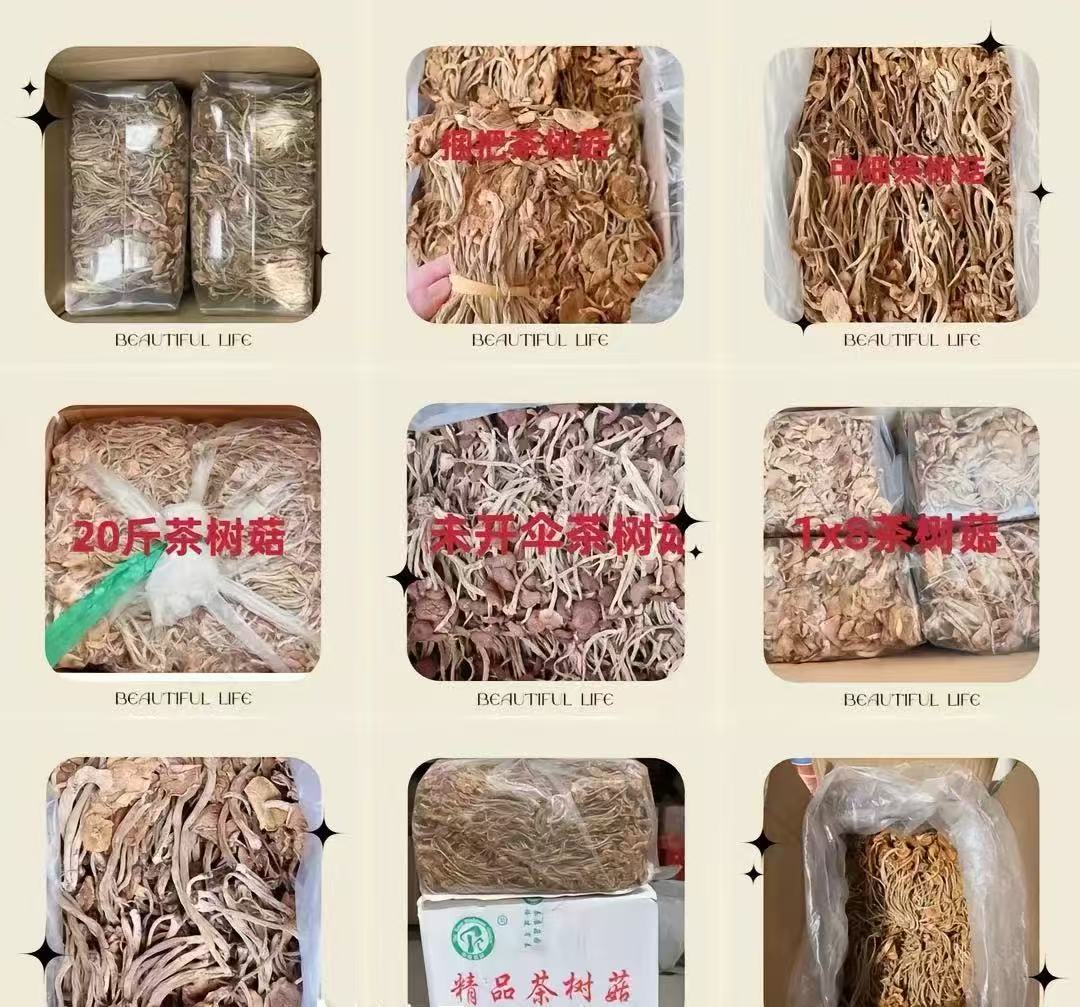 天选滋补行】滋补特产桑葚(代替链接）一件
