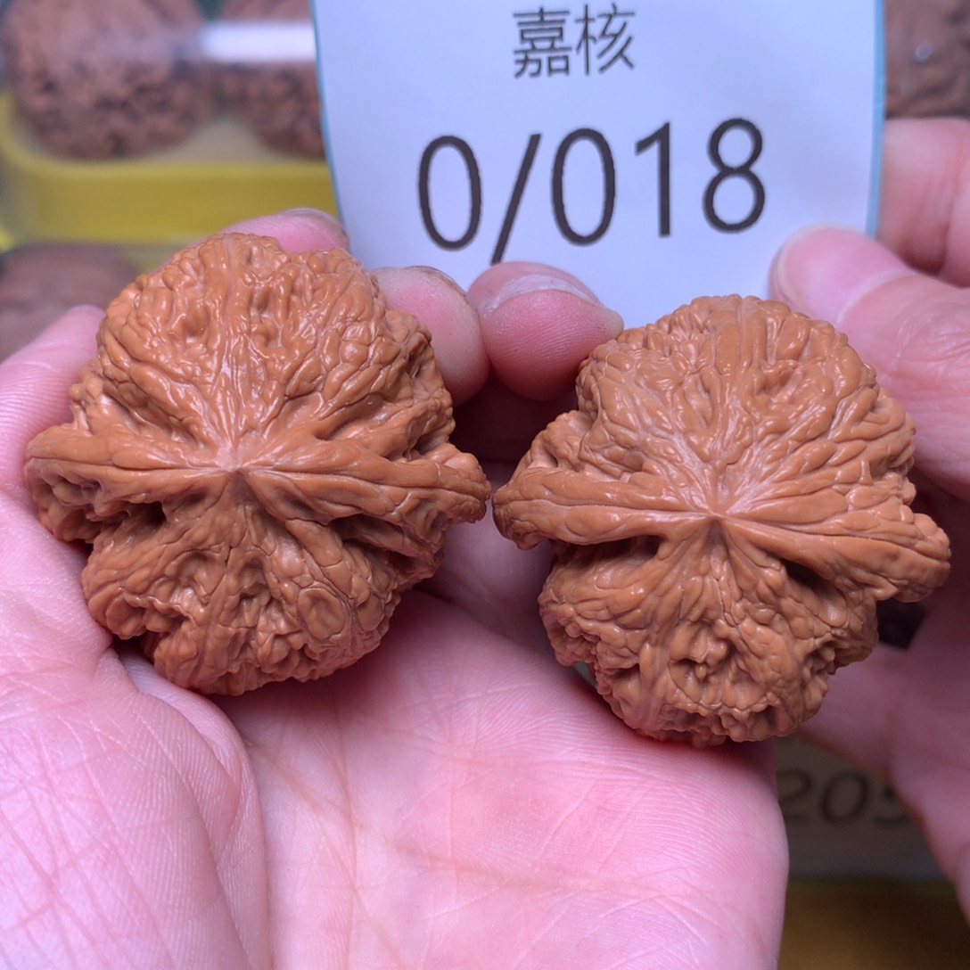 文玩核桃把件毕业肉球粗筋41