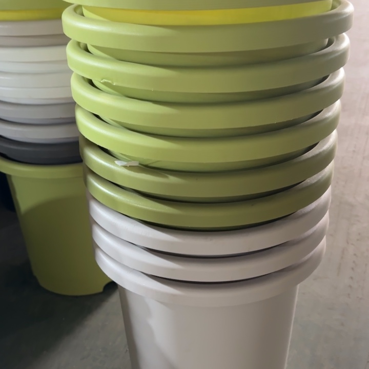 编号2649口33无托10个