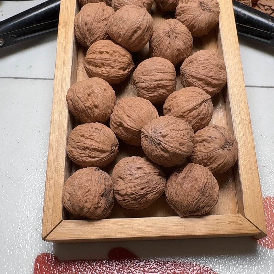 核桃手串/手链57号边28手持