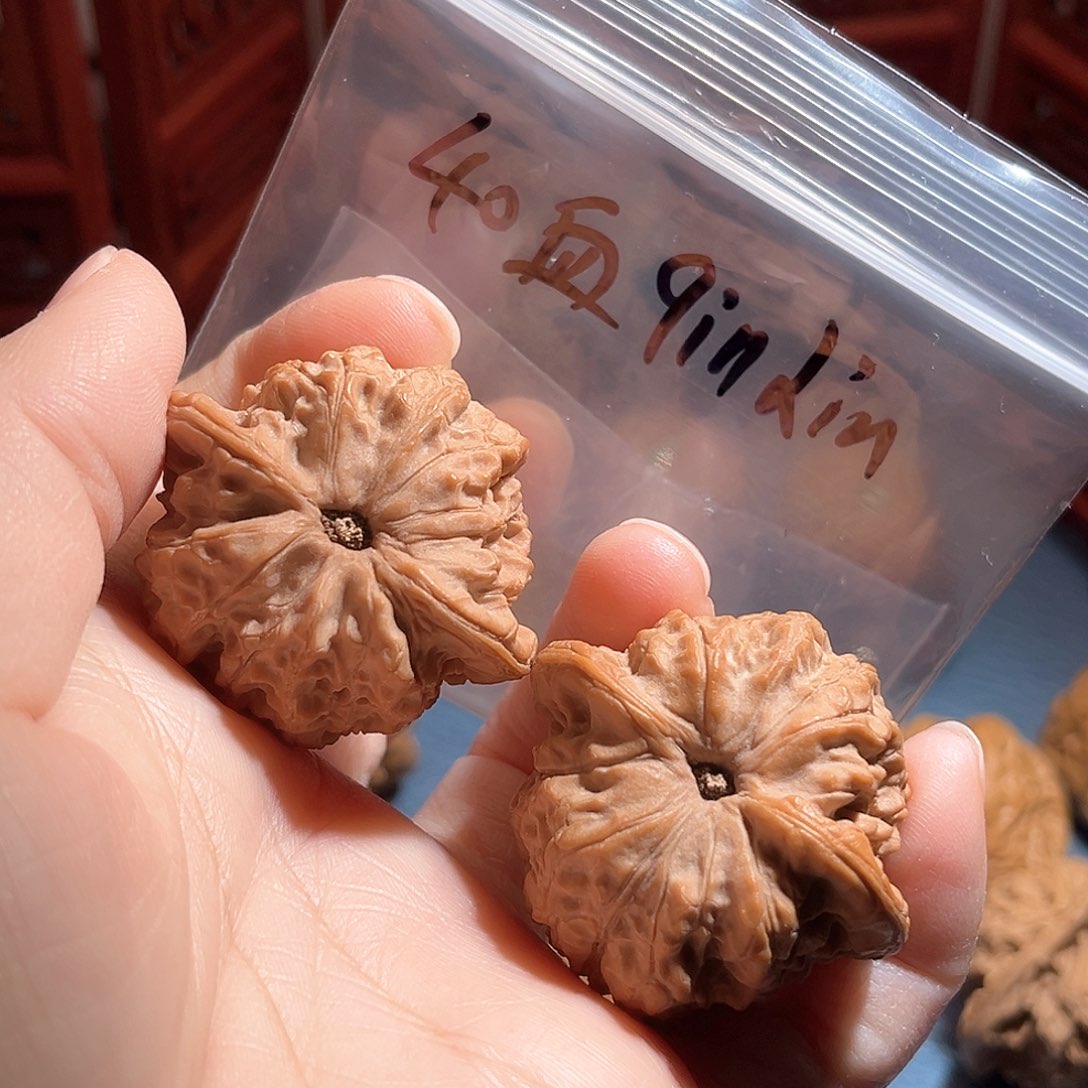 春**雨40血麒麟……精品对……