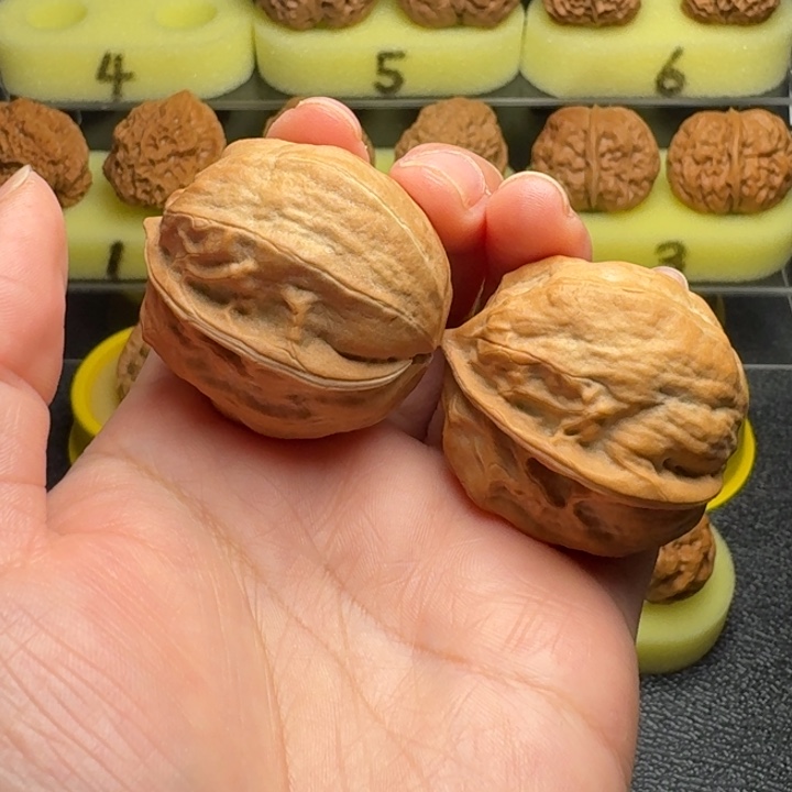 D***g文玩核桃把件虫王