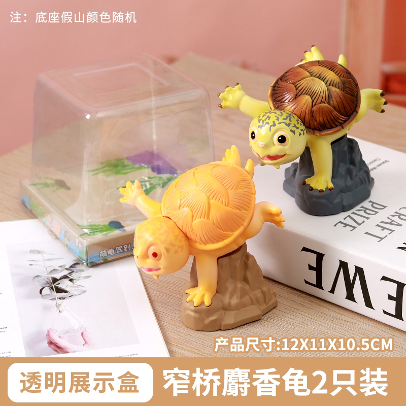 乌龟手办桥必生辉可爱漂亮