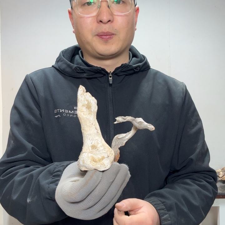 南***香榧木工艺品精选去1111