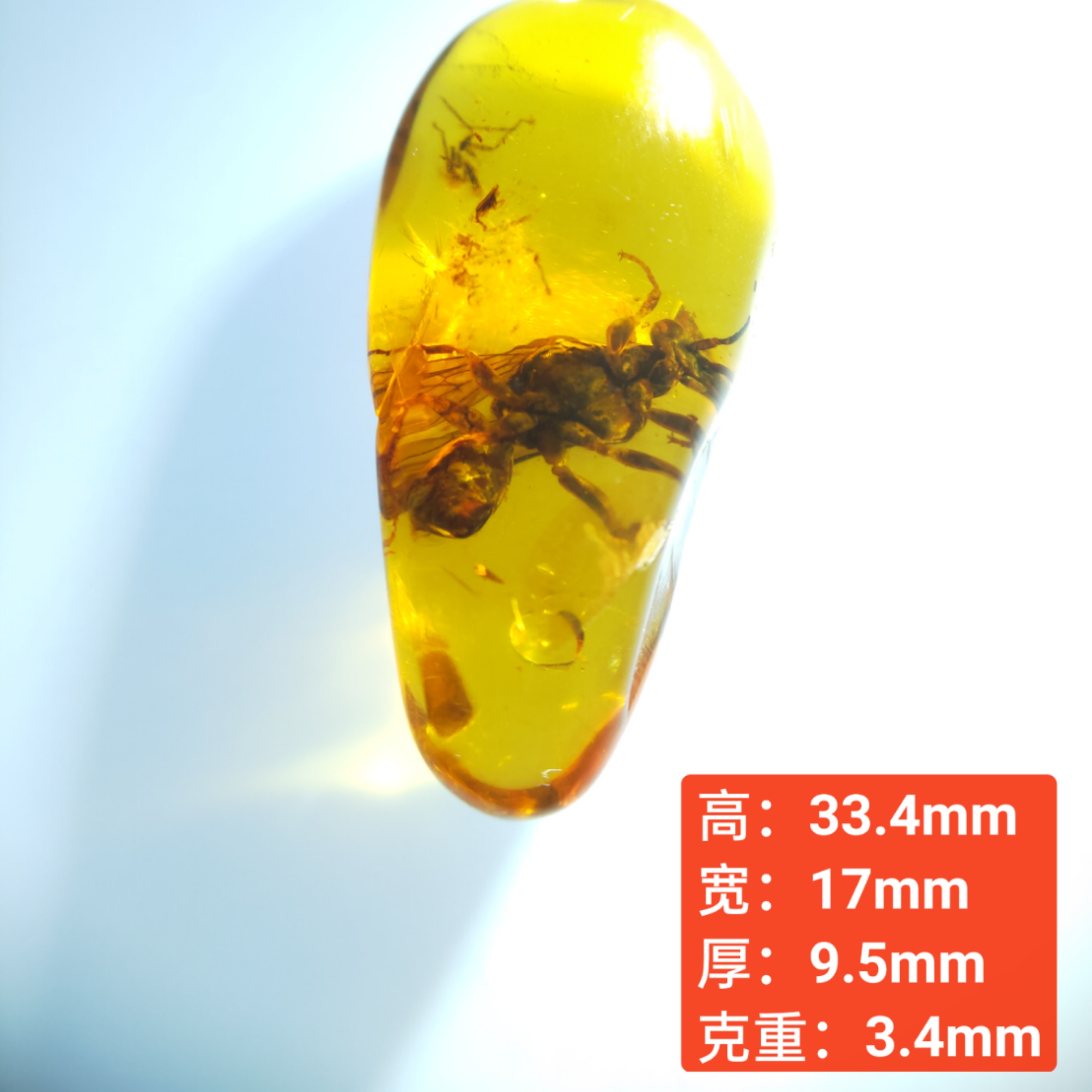 天然缅甸琥珀虫珀黄蜂吊坠无优化微亮片保真