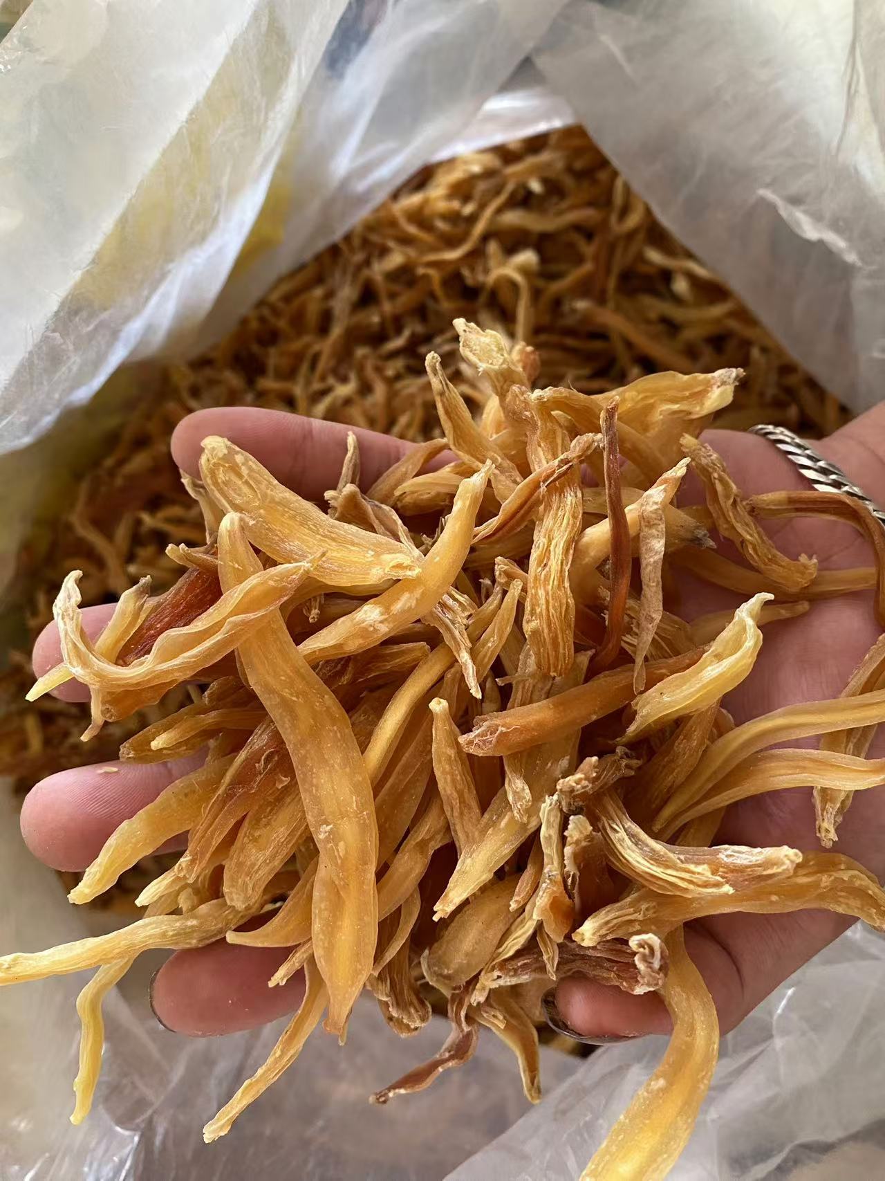 湖南野生天门冬天冬足干