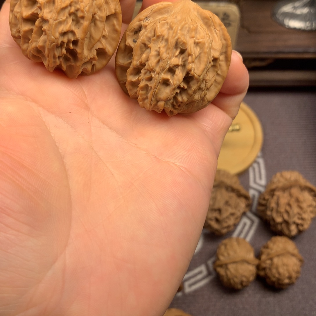 秦岭山脉的东南面为东西方