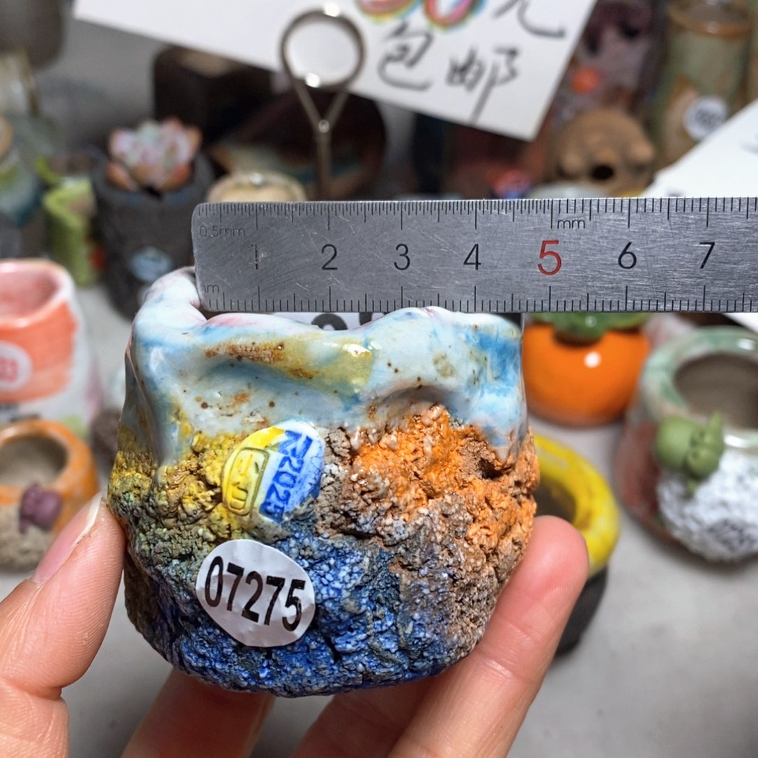 拍3送一个小礼物花盆 