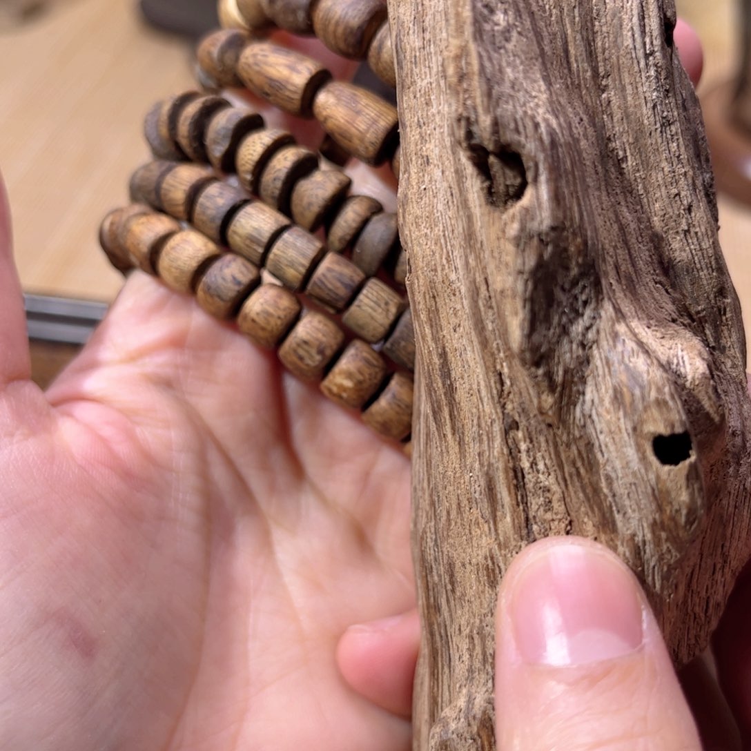 香榧木海南木料种植绿奇随形多样性发一