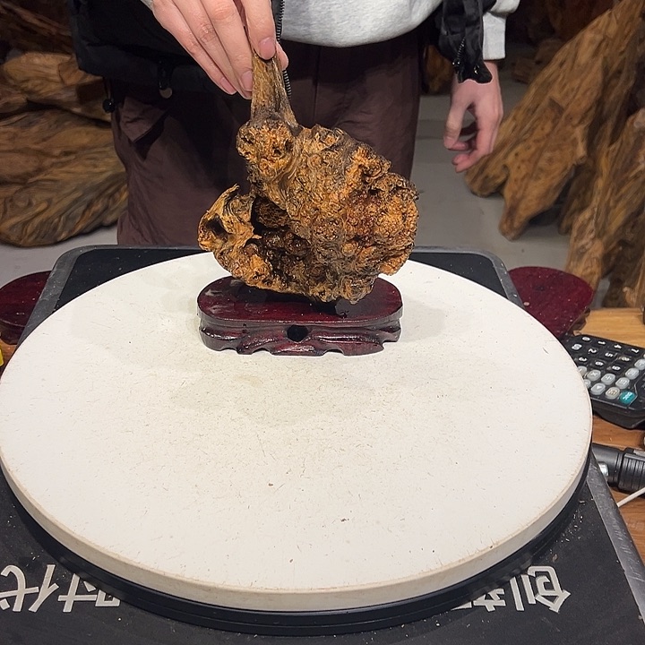 松木（琥珀木）?****