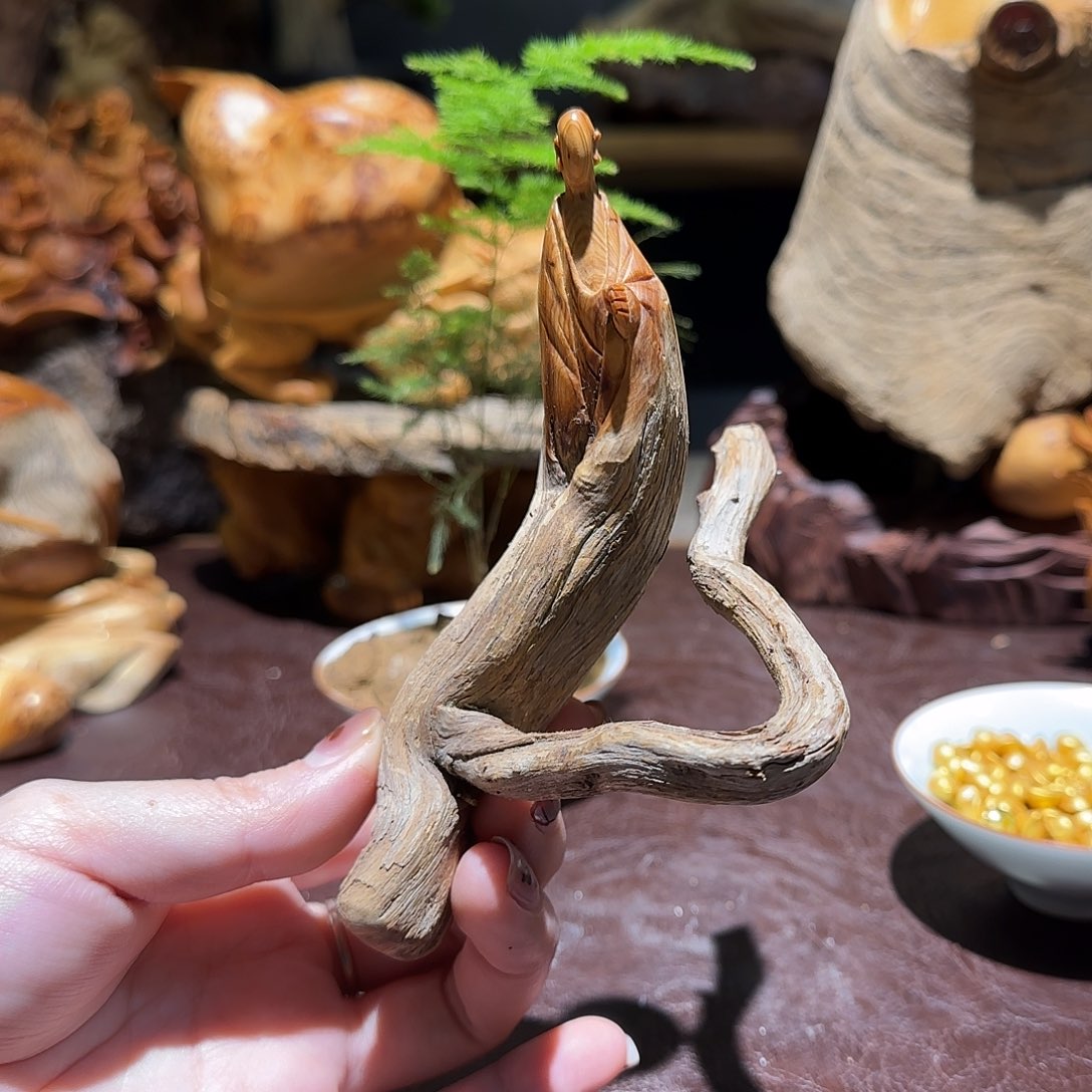 柏木（崖柏）太行集团