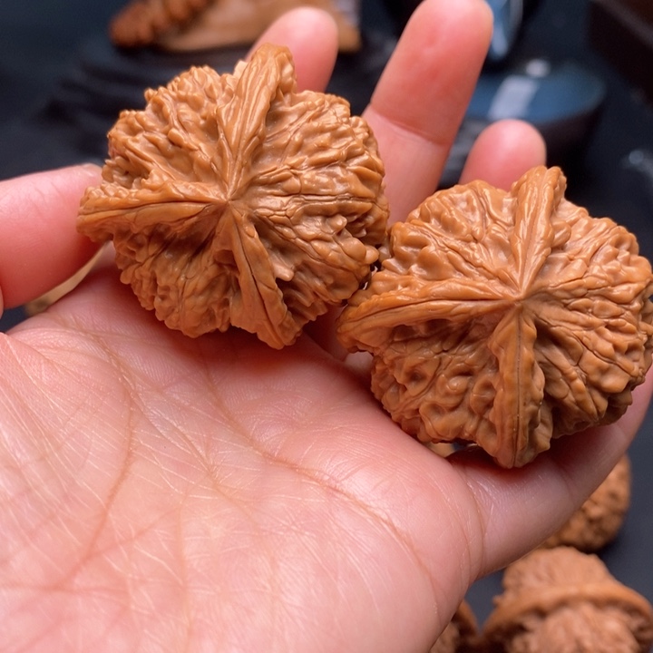 文玩核桃把件龙爪43尺