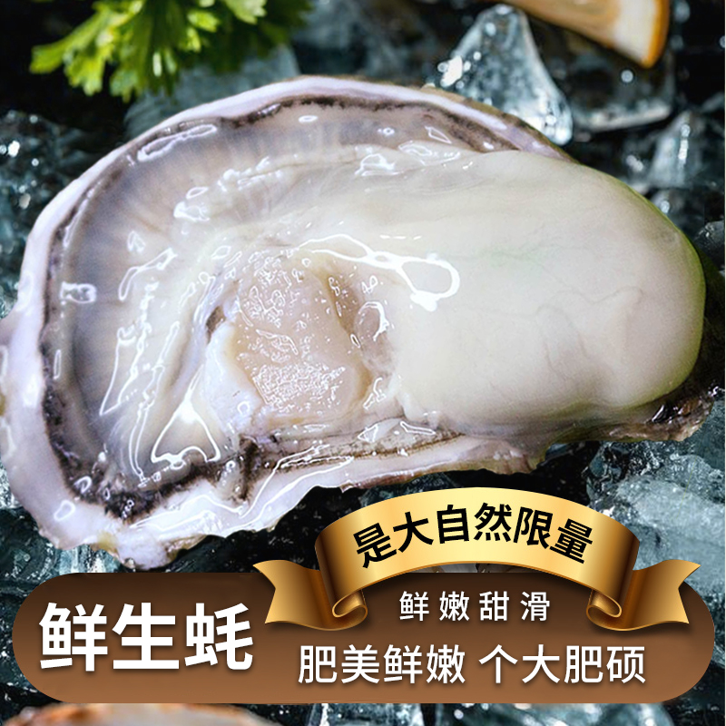 【到手10斤】两连云港海捕新鲜大号生蚝鲜活海鲜水产海蛎子