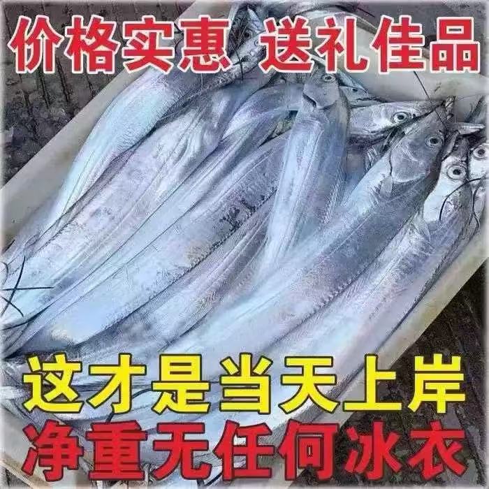 当潮新鲜带鱼小眼睛（5斤）顺丰冷链包邮