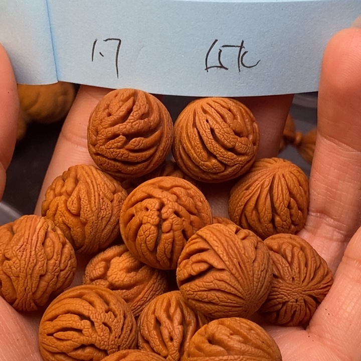 手串文玩核桃秦岭龙龙纹桃核17尺寸