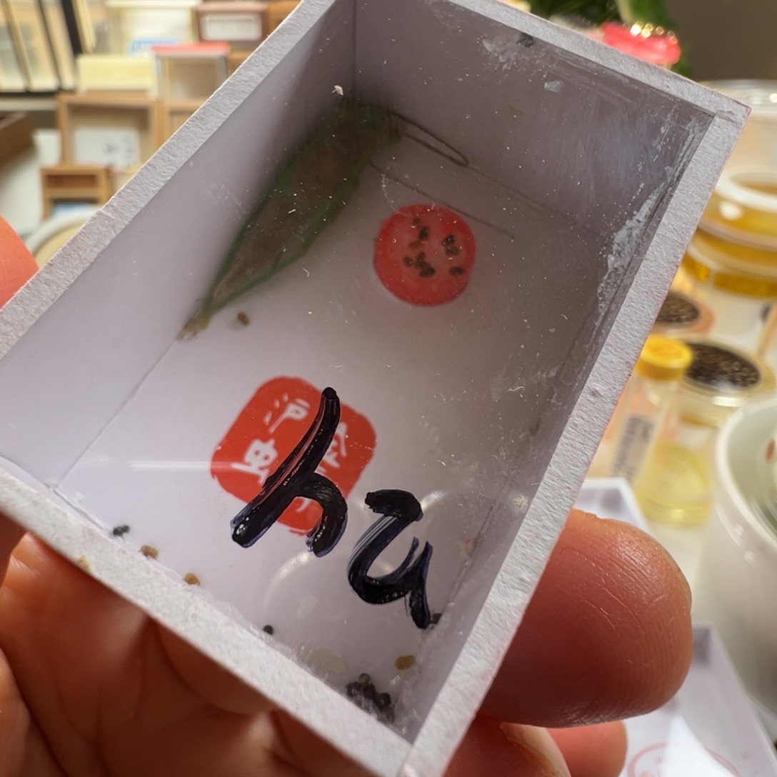 蟋蟀一只霍氏漂亮