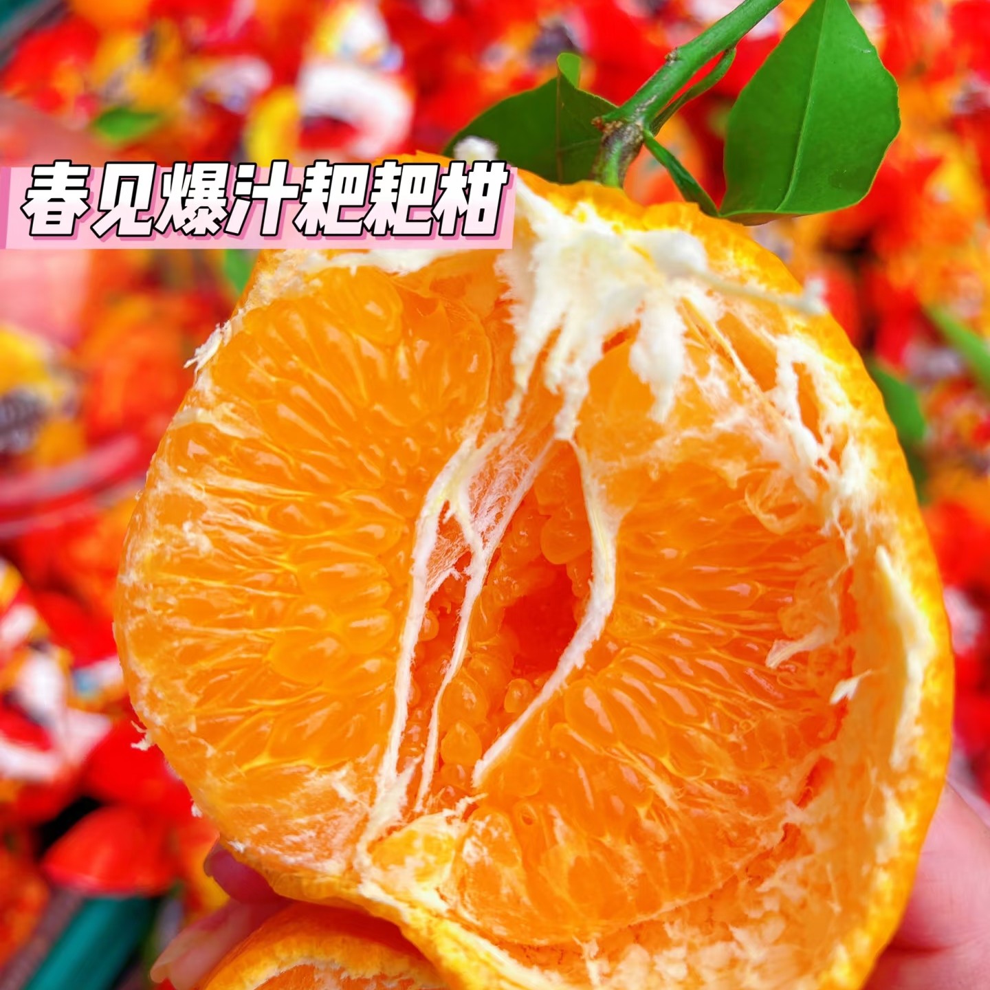 HYG【春见耙耙柑】一斤四川省