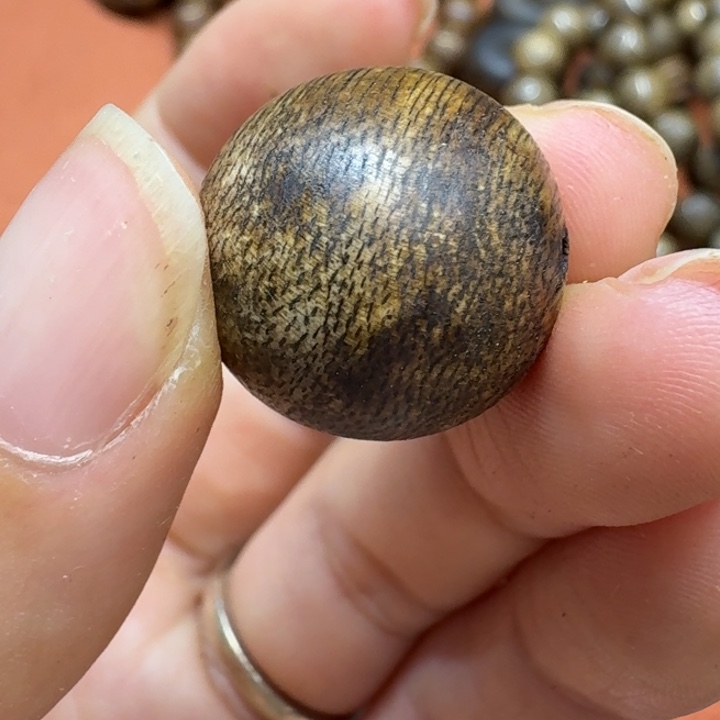 大叶紫檀（黑酸枝木类）