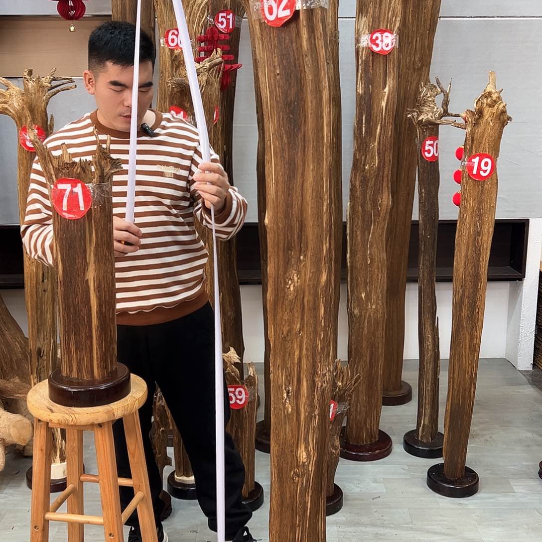 沉香摆件黑*海南沉香摆件