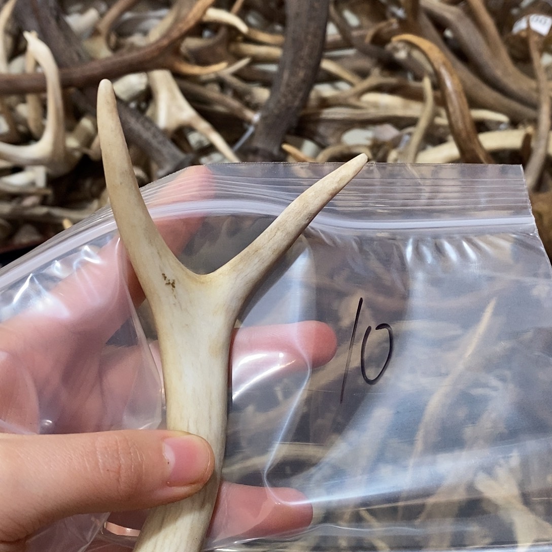 唐***虎非金属鹿角鹿角鹿角